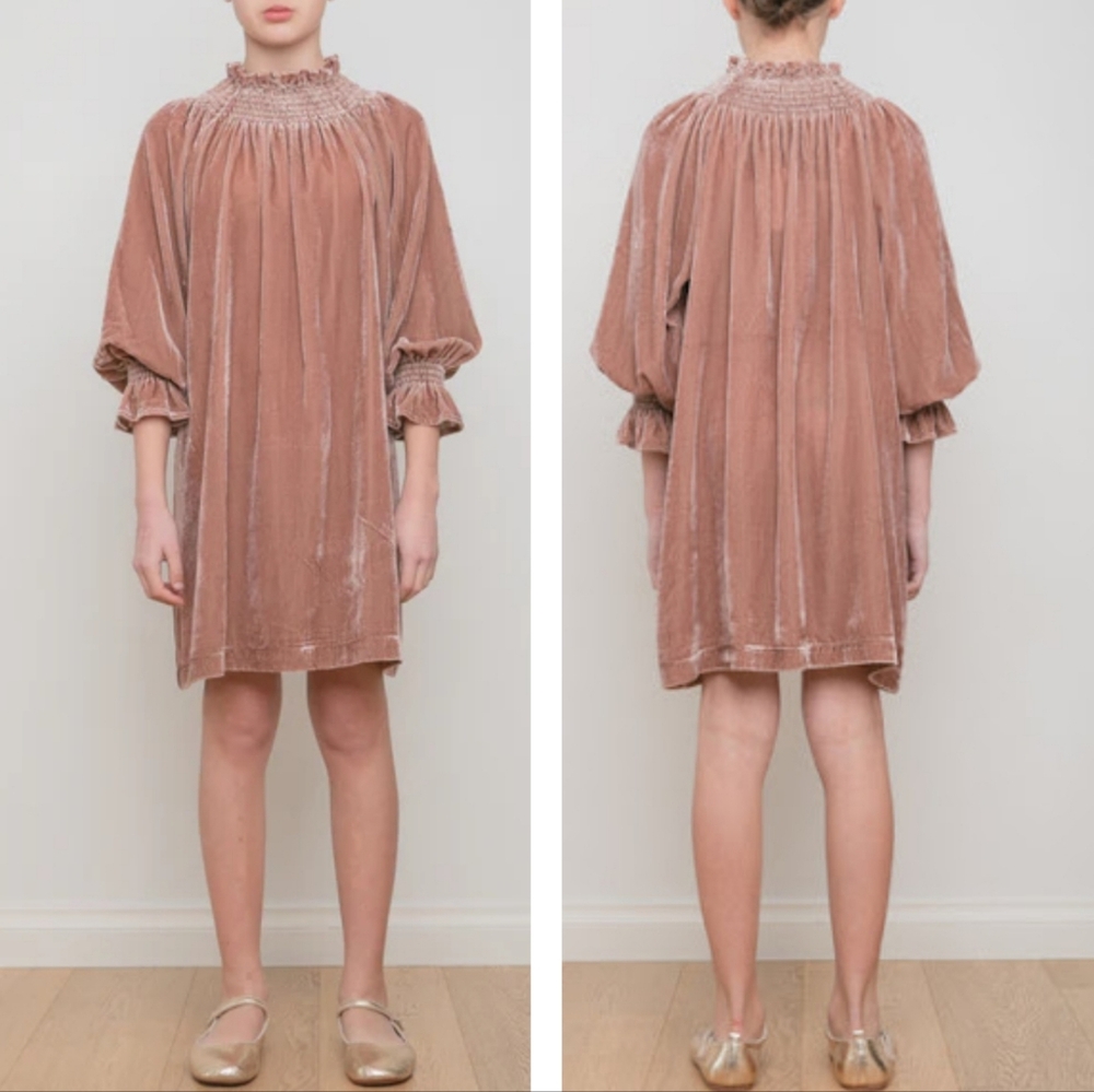 PETITE AMALIE WINTER ROSE VELVET SMOCKED DRESS